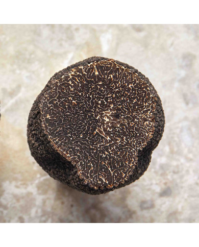 Morceaux de truffes noires fraîches 50g   |  PLANTIN Morceaux de truffes noires fraîches 50g   |  PLANTIN