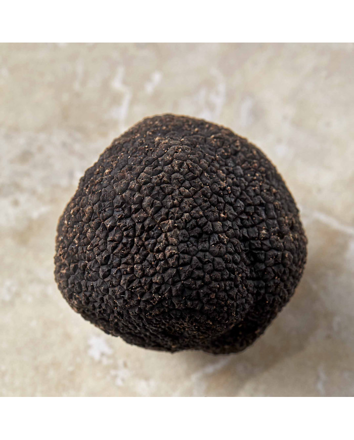 Tartufo nero del Périgord