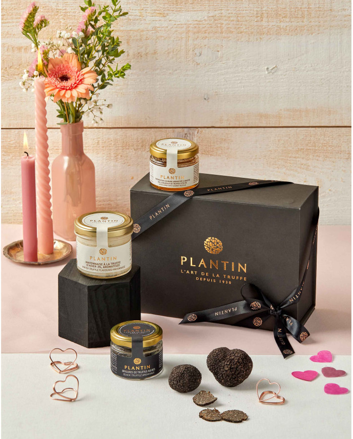 Gift box PLANTIN - Small version