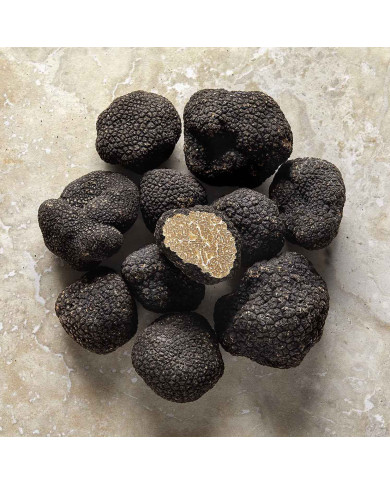 Fresh whole summer truffles