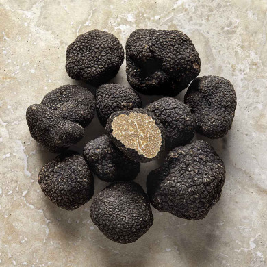 Truffe d'été fraîche 100g |  PLANTIN  - L'art de la truffe