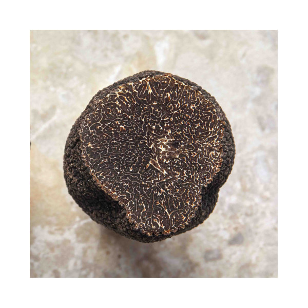 Morceaux de truffes noires d'Australie 50g | PLANTIN