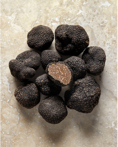 Truffes de Bourgogne entières, fraîches