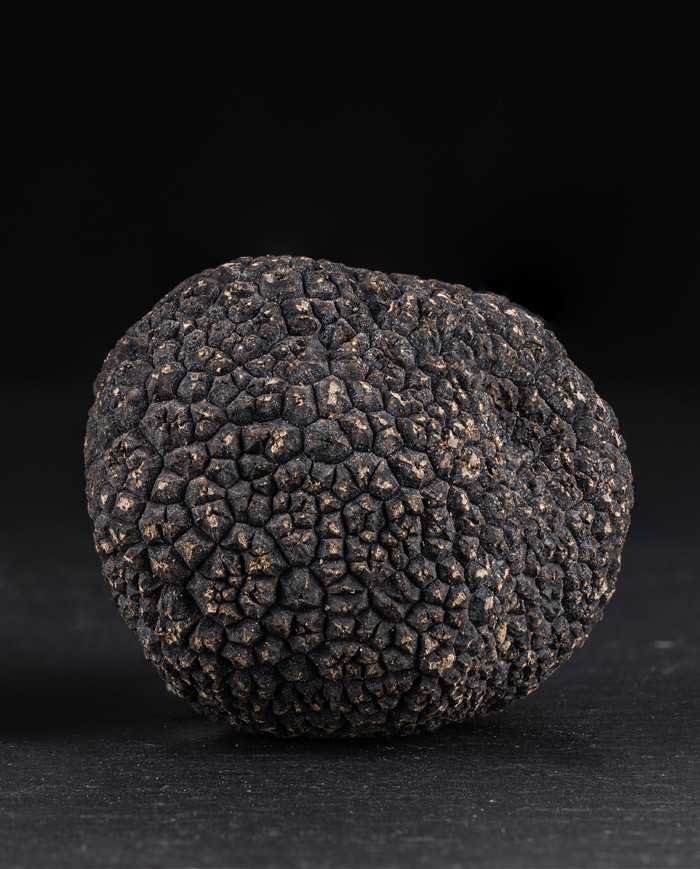 Ganze schwarze Trüffel aus Australien, frisch