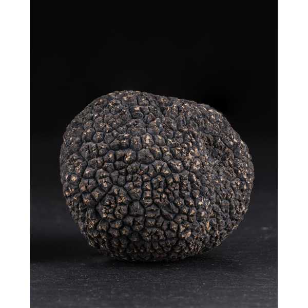 Truffes noires d'Australie entières, fraîches