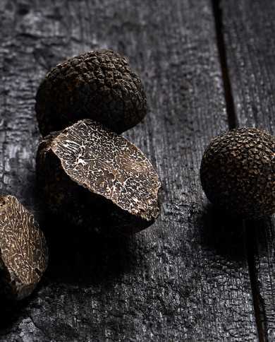 Ganze schwarze Trüffel aus Australien, frisch Ganze schwarze Trüffel aus Australien, frisch