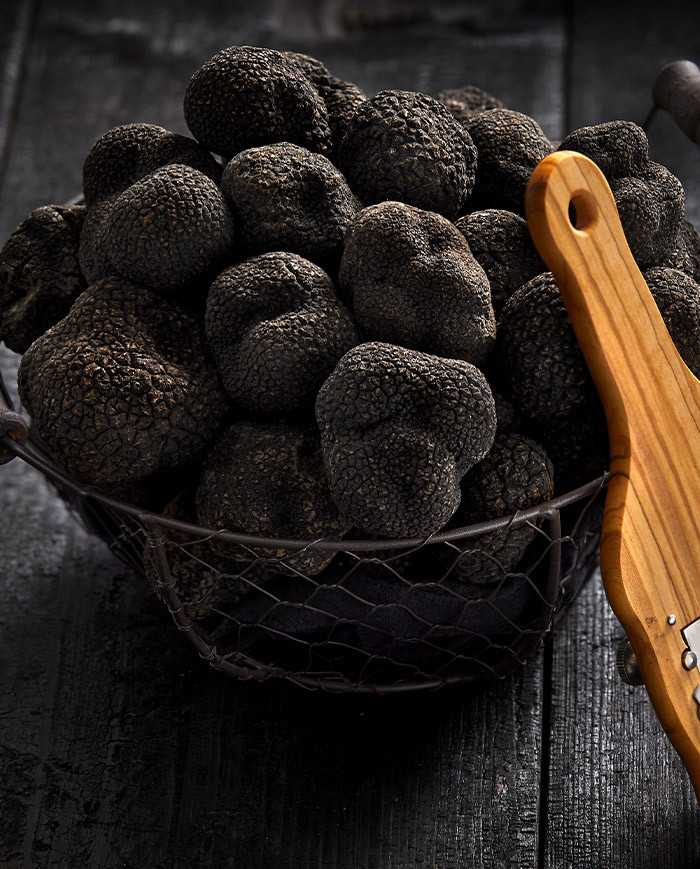 Fresh whole black Australian truffles Fresh whole black Australian truffles