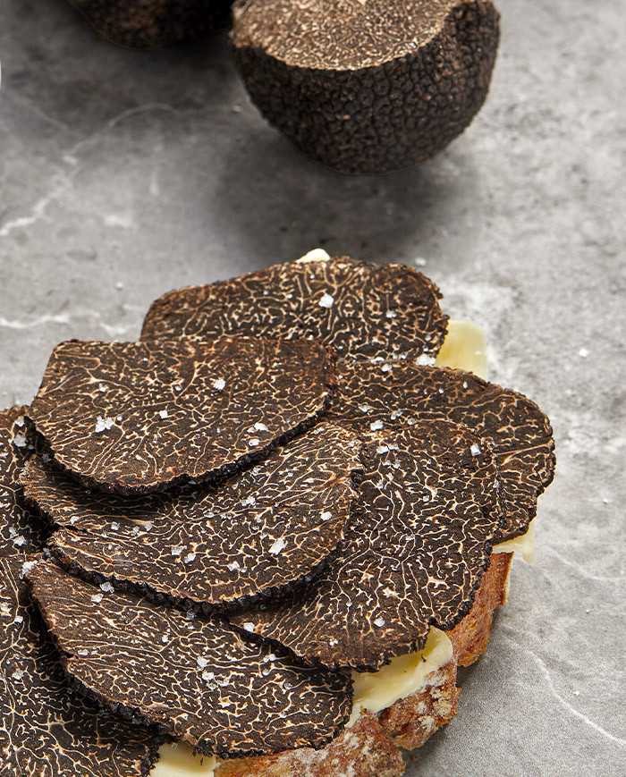 Fresh whole black Australian truffles Fresh whole black Australian truffles