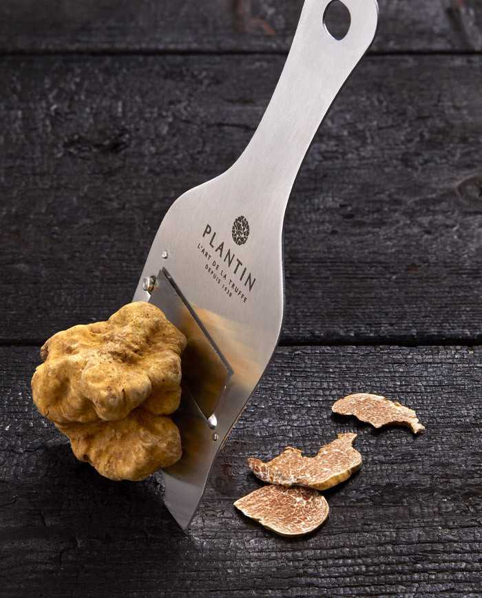 Truffe blanche d'Alba fraîche 15g |  PLANTIN - L'art de la truffe