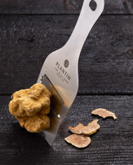 Truffe blanche d'Alba fraîche 15g |  PLANTIN - L'art de la truffe Truffe blanche d'Alba fraîche 15g |  PLANTIN - L'art de la truffe