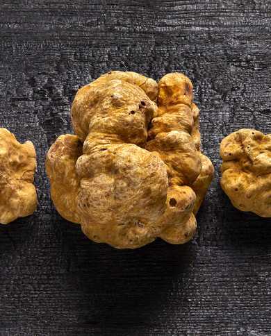 Truffe blanche d\'Alba fraîche