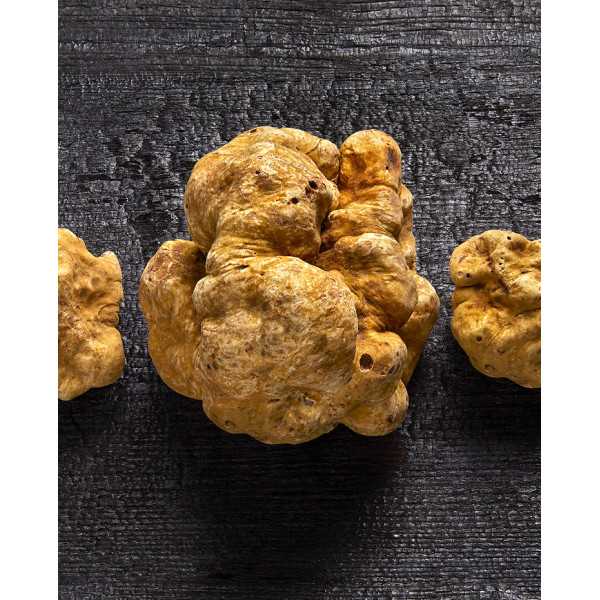 Truffe blanche d'Alba fraîche 15g |  PLANTIN - L'art de la truffe