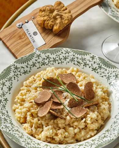 Truffe blanche d'Alba fraîche 15g | PLANTIN - L'art de la truffe Truffe blanche d'Alba fraîche 15g | PLANTIN - L'art de la truffe