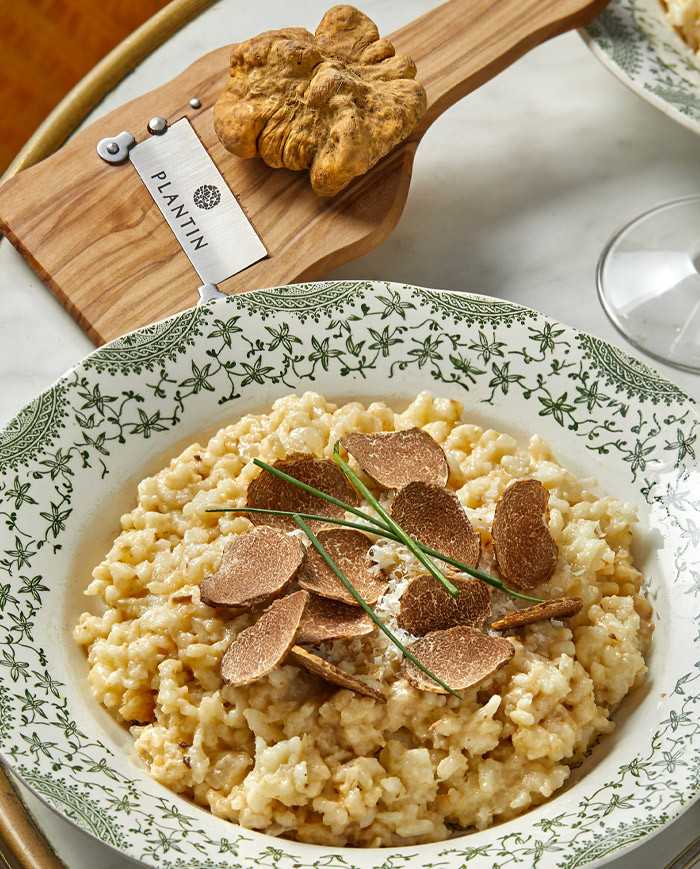 Truffe blanche d'Alba fraîche 15g |  PLANTIN - L'art de la truffe Truffe blanche d'Alba fraîche 15g |  PLANTIN - L'art de la truffe