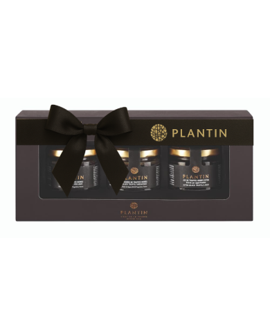 Coffret "Trio dîner de truffes" Coffret "Trio dîner de truffes"