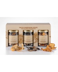 Trio aus getrockneten Pilzen Trio aus getrockneten Pilzen