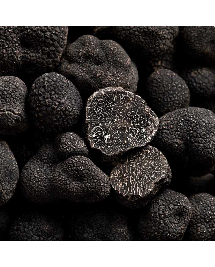 Truffe Noire du Périgord - Plantin L'art de la Truffe