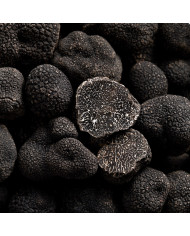 Morceaux de truffes noires fraîches 50g   |  PLANTIN