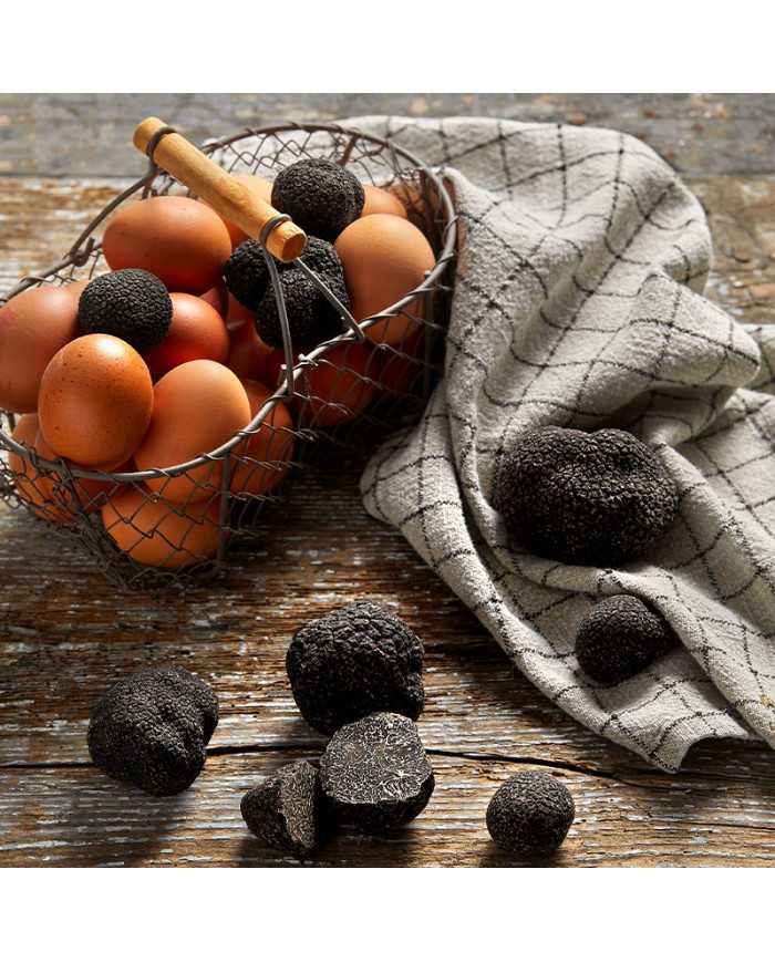 Morceaux de truffes noires fraîches 50g   |  PLANTIN