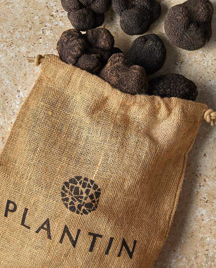 Tartufo nero del Périgord