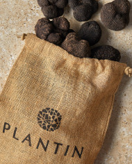 Tartufo nero del Périgord