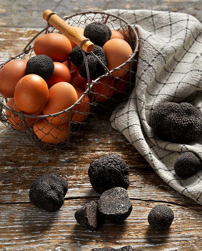 Tartufo nero del Périgord
