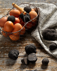 Périgord black truffle