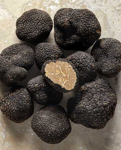 Truffe d'été fraîche 100g |  PLANTIN  - L'art de la truffe