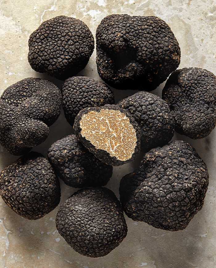 Truffe d'été fraîche 100g |  PLANTIN  - L'art de la truffe