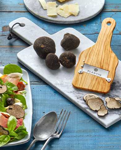Truffe d'été fraîche 100g |  PLANTIN  - L'art de la truffe
