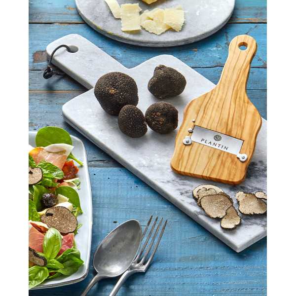 Truffe d'été fraîche |  PLANTIN  - L'art de la truffe