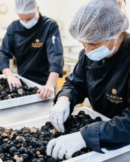 Truffe d'été fraîche 100g |  PLANTIN  - L'art de la truffe