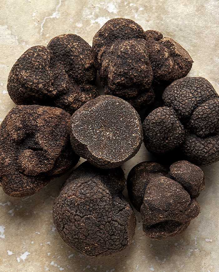 Morceaux de truffes noires d'Australie 50g | PLANTIN