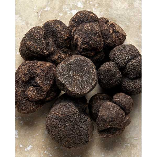 Morceaux de truffes noires d'Australie 50g | PLANTIN