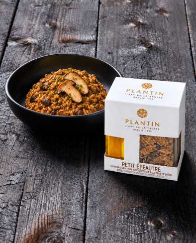 Mont Ventoux spelt with porcini and summer truffles