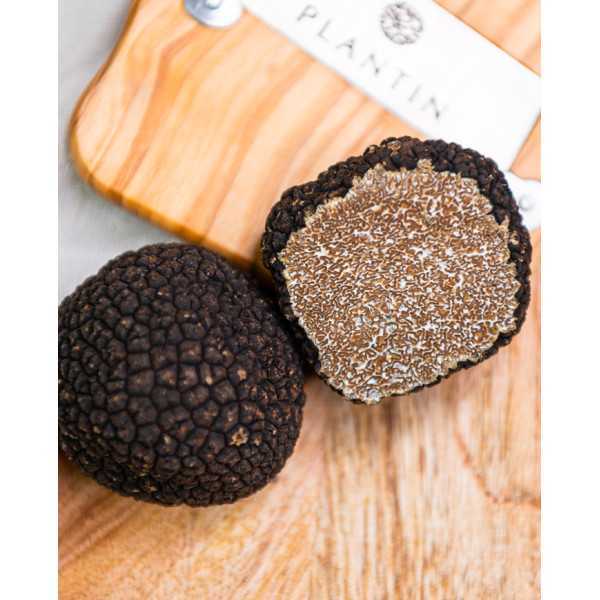 Truffe de Bourgogne fraîche 50g | PLANTIN - L'art de la truffe