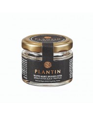 Truffes noires brossées extra - 15g - L'art de la truffe