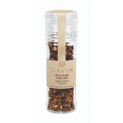 Dried porcini mill Dried porcini mill