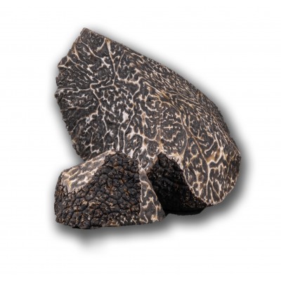Morceaux de truffe fraîche noire