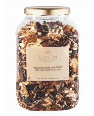 Mix di funghi di bosco secchi - 500g