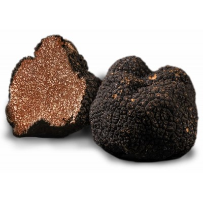 Truffe de Bourgogne fraîche 500g | PLANTIN - L'art de la truffe