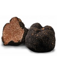 Truffe de Bourgogne fraîche 500g | PLANTIN - L'art de la truffe