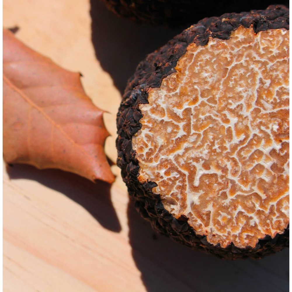 Truffe de Bourgogne fraîche 500g | PLANTIN - L'art de la truffe