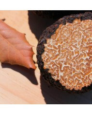 Truffe de Bourgogne fraîche 500g | PLANTIN - L'art de la truffe