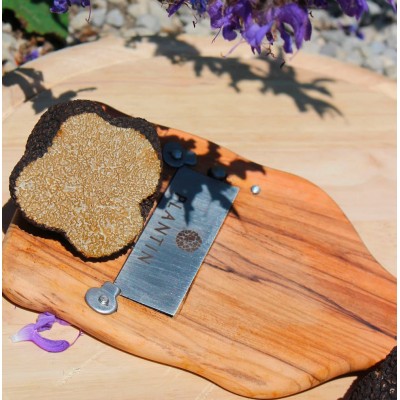 Truffe d'été fraîche 500g |  PLANTIN  - L'art de la truffe