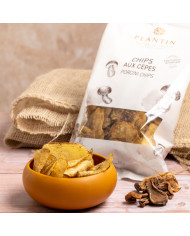 Chips mit Steinpilzen