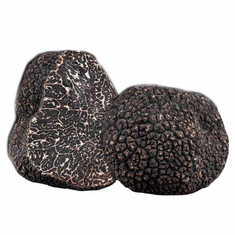 Truffe noire FRAICHE (categorie EXTRA), Plantin (17 g)