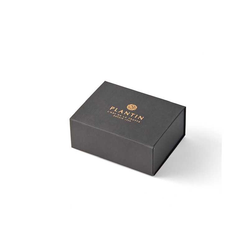 Gift box PLANTIN - Small version