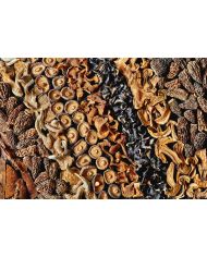 Getrocknete Waldmischung - 500 g Getrocknete Waldmischung - 500 g