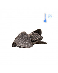 Frozen black truffle slices - 100g Frozen black truffle slices - 100g